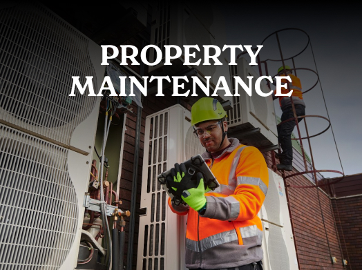 Property Maintenance