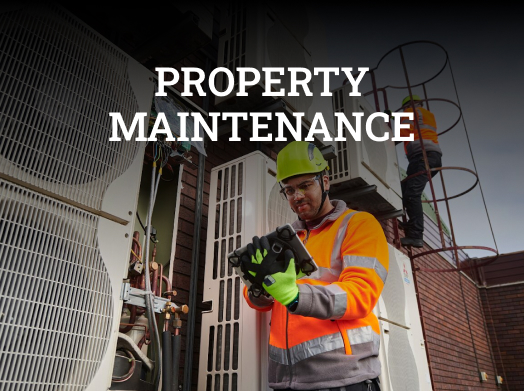 Property Maintenance