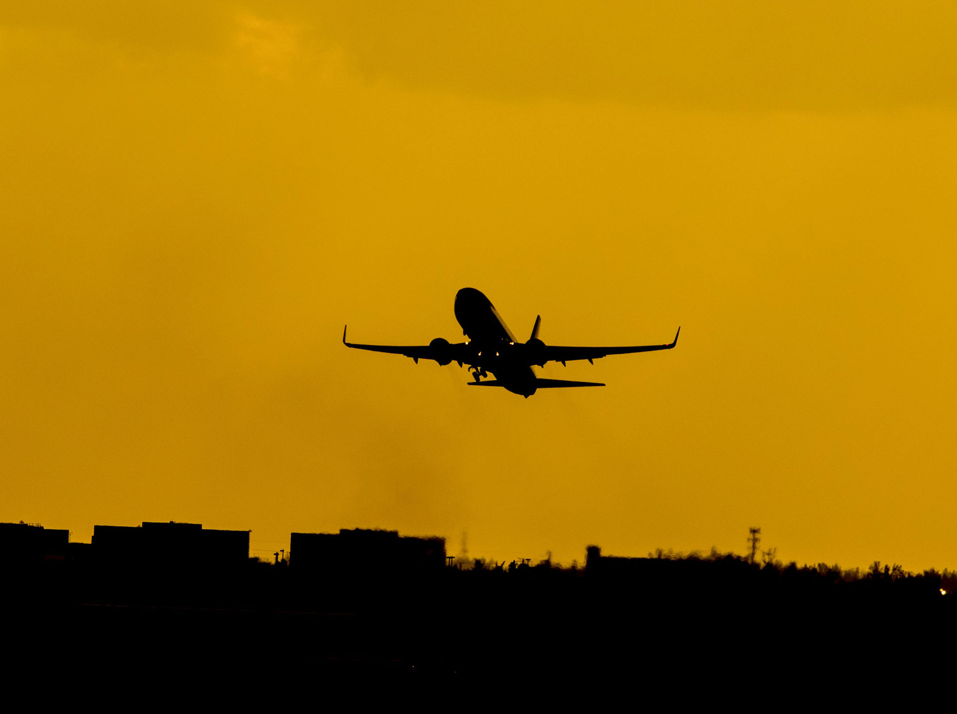 Transportation Services