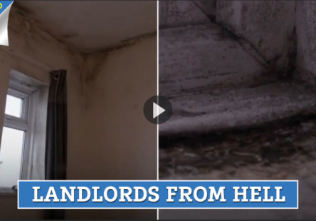 Taken from: https://www.thesun.co.uk/news/8715151/my-baby-turned-blue-because-the-toxic-mould-in-our-house-is-so-bad-he-cant-breathe-but-housing-association-refused-to-fix-it/