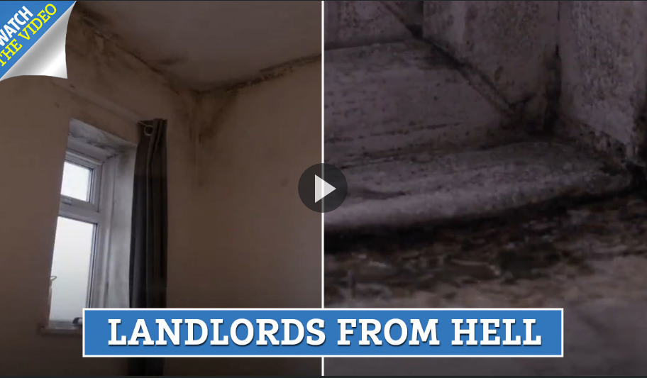 Taken from: https://www.thesun.co.uk/news/8715151/my-baby-turned-blue-because-the-toxic-mould-in-our-house-is-so-bad-he-cant-breathe-but-housing-association-refused-to-fix-it/