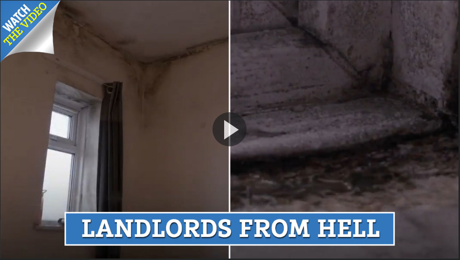 Taken from: https://www.thesun.co.uk/news/8715151/my-baby-turned-blue-because-the-toxic-mould-in-our-house-is-so-bad-he-cant-breathe-but-housing-association-refused-to-fix-it/